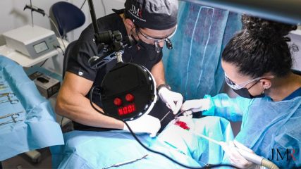 Curso Modular de Regeneración Ósea JMR 2022