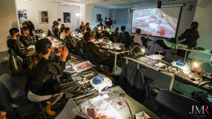 Curso Modular de Regeneración Ósea JMR 2022