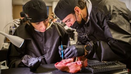 curso-modular-regeneracion-osea-2024 (26)